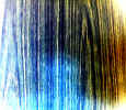 04110093.jpg (969713 bytes)