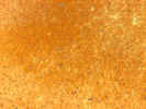 foambubbles2917.jpg (974575 bytes)