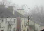 foggygarden4215.jpg (409761 bytes)