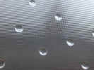 frostedwindow29452947.jpg (683762 bytes)