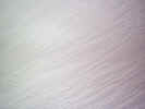 texture00160.jpg (141010 bytes)